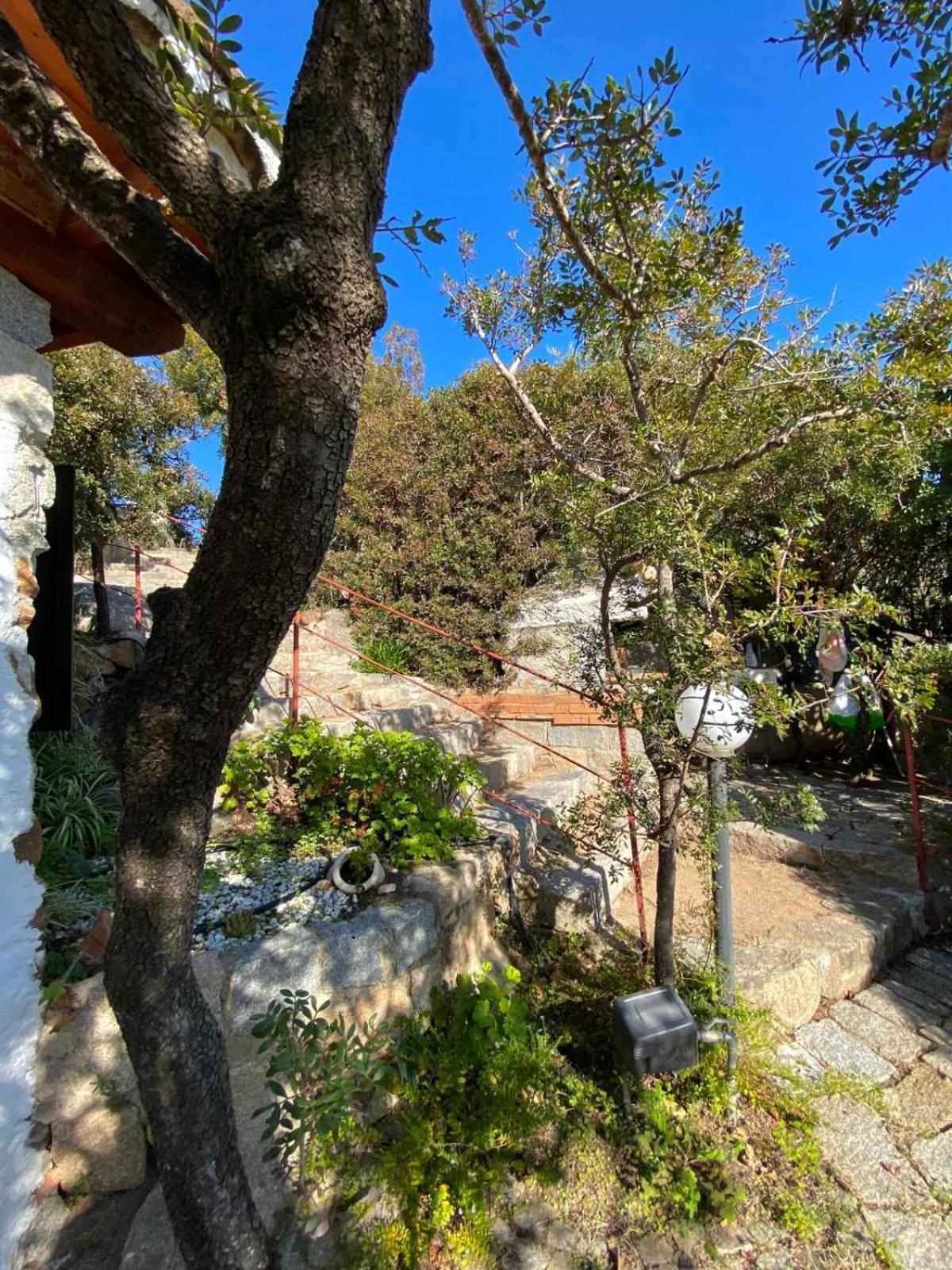 Sa Domu De Orri Al Mare Villa Tortolì Eksteriør bilde