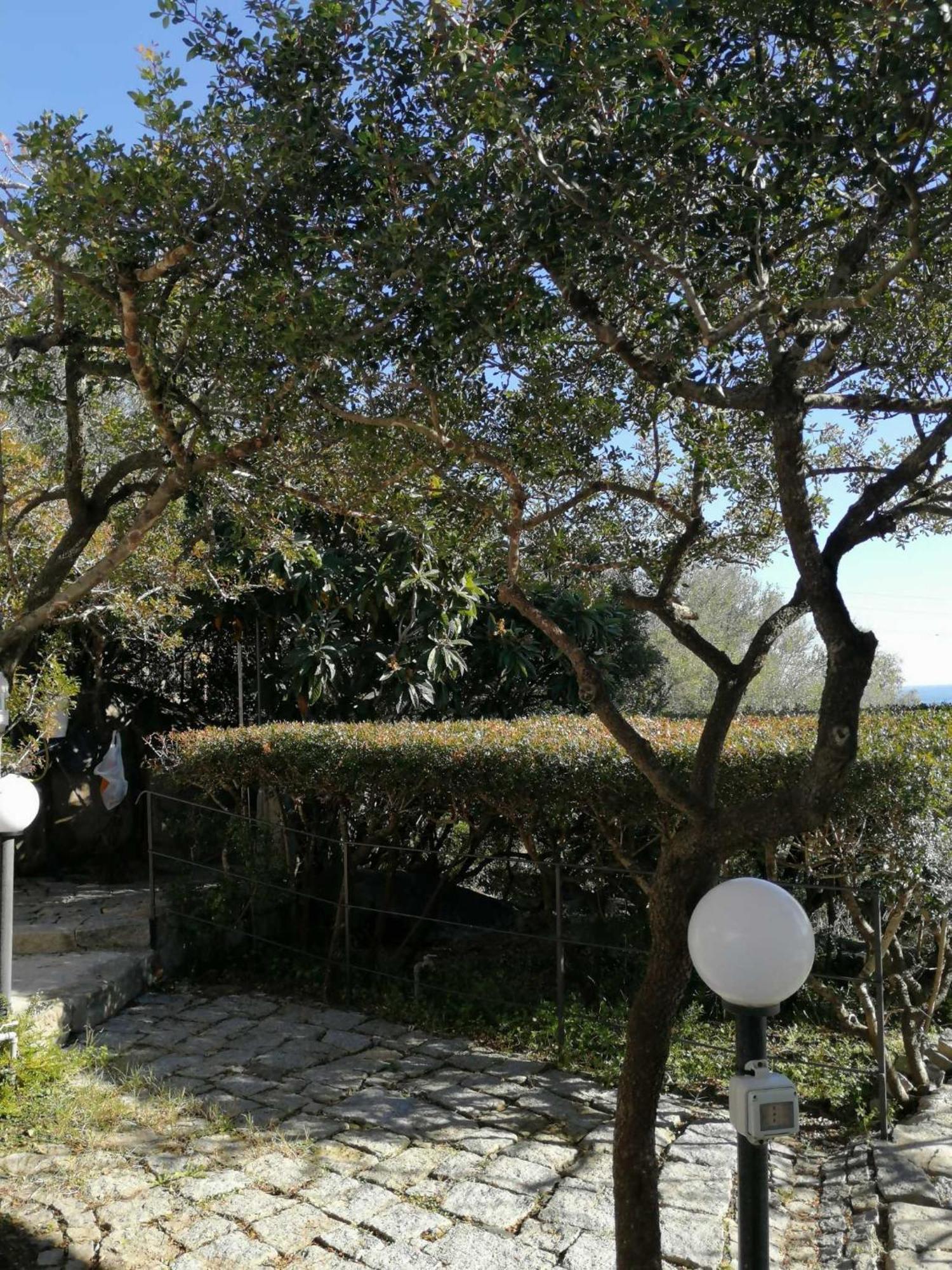 Sa Domu De Orri Al Mare Villa Tortolì Eksteriør bilde