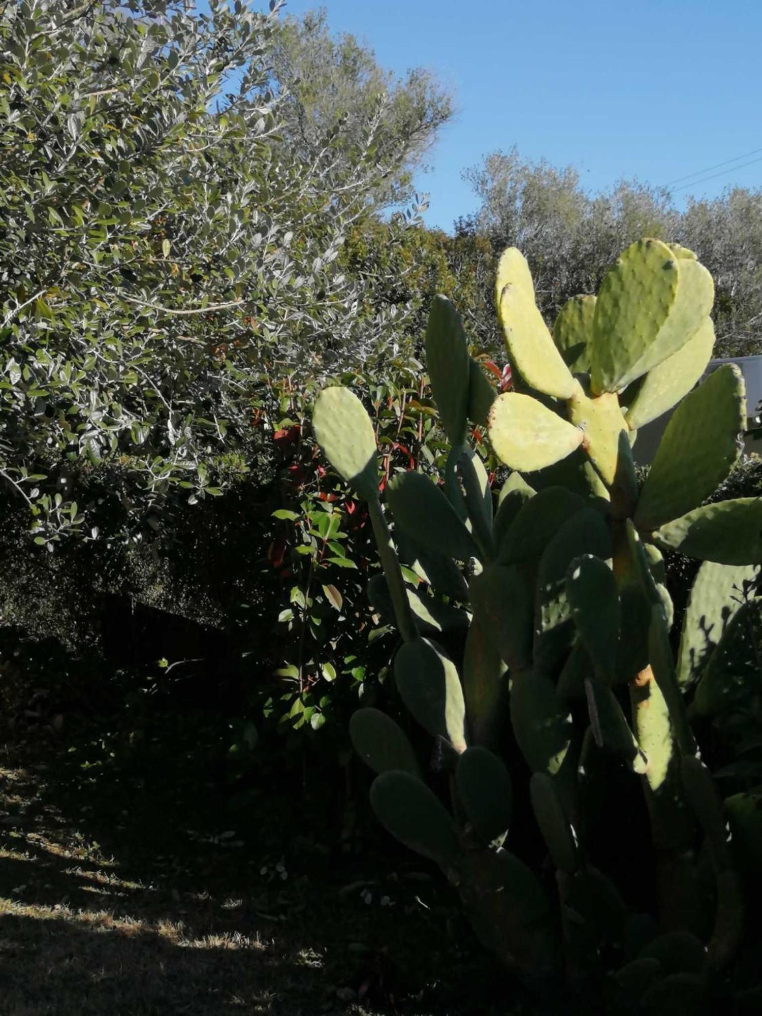 Sa Domu De Orri Al Mare Villa Tortolì Eksteriør bilde