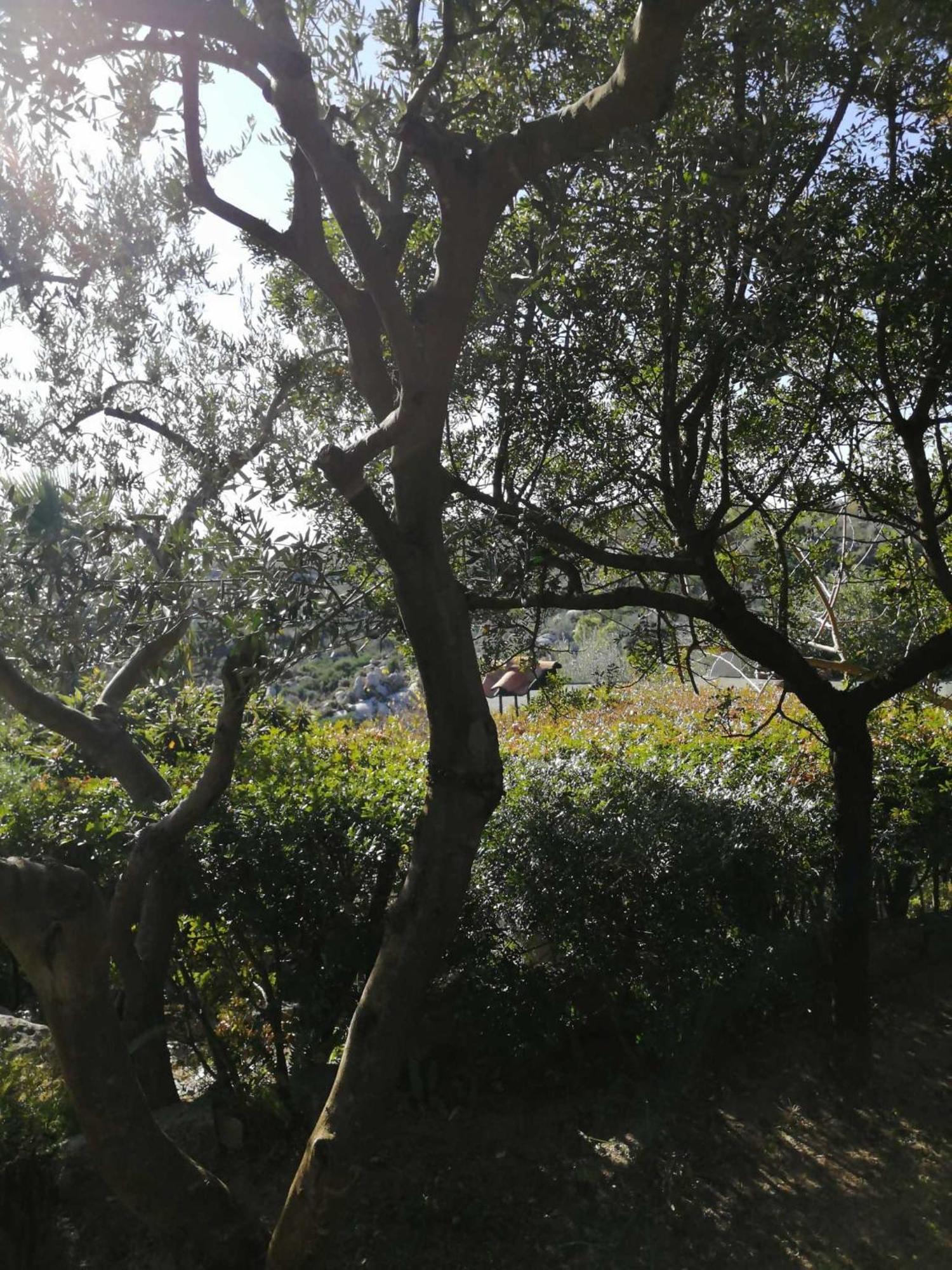 Sa Domu De Orri Al Mare Villa Tortolì Eksteriør bilde